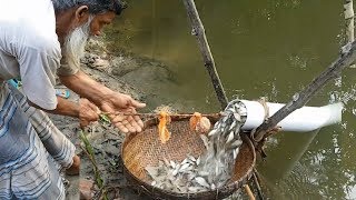 Believe This Fishing Unique Fish Trapping System  New Technique Of Catching Country Fish [upl. by Anifled]