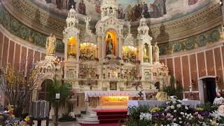 St Casimir Mass for May 5 2024 [upl. by Dorris]