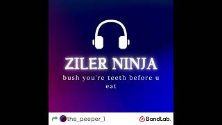 Ziler rap1 of 4 [upl. by Nebra]