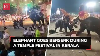 Elephant goes berserk during festival at Tharakkal temple in Thrissur leaves several injured [upl. by Margi546]