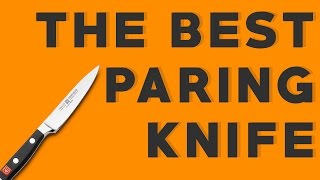 The Best Paring Knife Wusthof Classic Paring Knife Review [upl. by Aeneus]