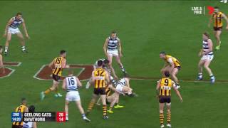 2016 QF Geelong v Hawthorn highlights  AFL [upl. by Kristin]