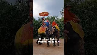 THE ELEPHANT RIDE IN THAILAND IS ONE OF THE BEST EXPERIENCES EVER thailandtourism familytravel [upl. by Otnicaj]