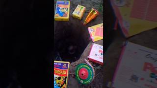 Different Types of Diwali Unique Crackers Testing In Hole  2024 💀 POV Crackers Chorsa  BIDI Bomb [upl. by Silevi]