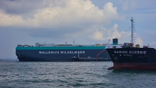 CAR CARRIER WALLENIUS WILHELMSEN [upl. by Kalli695]