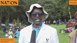 Kill the butterflies Kiambu farmers want farmlands fumigated due to infestation [upl. by Dionne]