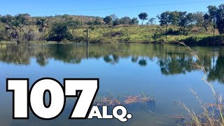 OPORTUNIDADE 107 ALQ POR R 41 MILHÃO  TEM RIO  TERRA DE AROEIRA  FAZENDA A VENDA NO TOCANTINS [upl. by Julita926]