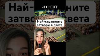 Приятели местим се в YouTube ✌🏻 prison cecot scary затвор fyp fypシ゚viral new shorts [upl. by Eisned]