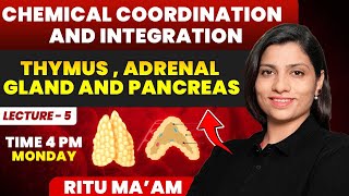 Thymus  Adrenal Gland and Lecture 5  Chemical Coordination and Integration Ritu Rattewal [upl. by Aehsel9]