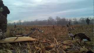 2012 Goose Hunt  Carroll County MD [upl. by Nalahs]