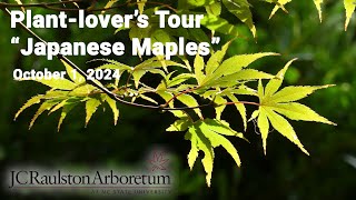 Plantlovers Tour  quotJapanese Maplesquot [upl. by West885]