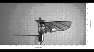 Flapping wing nano air vehicle Kulibrie high speed video image [upl. by Pals]