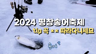 2024평창송어축제 얼음낚시 송어를 잡을수 있는 팁 공개 fishing trout [upl. by Fink]