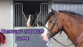 BRINGING MY HORSES HOME  Moving Vlog part two [upl. by Broucek851]