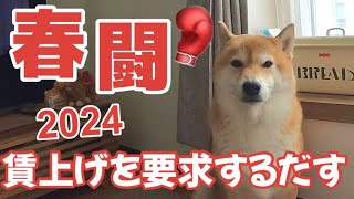 【僕の春闘2024】賃上げを要求する柴犬 [upl. by Matilde943]