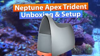 Neptune Apex Trident Setup [upl. by Thorr468]