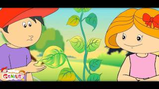 Photosynthesis  How Plants make Food 2Video for Kids by makemegeniuscom [upl. by Acalia]