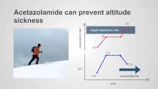 Acetazolamide amp PotassiumSparing Diuretics Uses amp Insights [upl. by Ayrotal209]