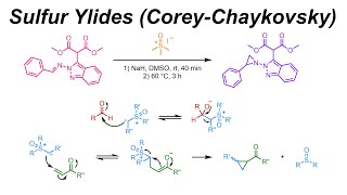 Sulfur Ylides  CoreyChaykovsky Reaction IOC 42 [upl. by Tessler]