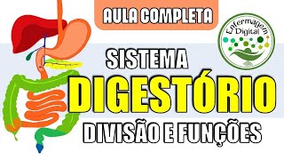 Sistema Digestório  Divisões anatômicas e órgãos digestivos  Anatomia Humana [upl. by Mikihisa172]