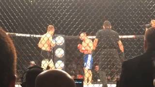 Bellator 133 [upl. by Leticia196]