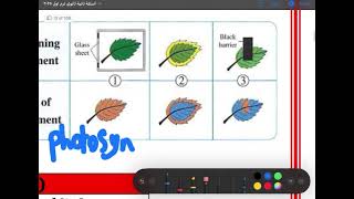 Biology 2nd Secondary  1st Term  Questions on Lesson 2  Photosynthesis  واجب الحصه الرابعه [upl. by Xavler]