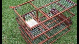 Trampera Multicaptura Sistema Molino quotSpiritquot  Multi Catch Bird Trap [upl. by Vivian]