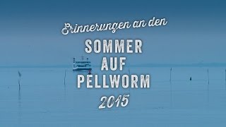 Erinnerungen an den Pellwormer Sommer 2015 [upl. by Asilam]