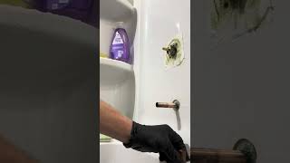 THIS IS PART 17 Moen 1222 positemp cartridge and trim replacement Plumbing tips and tricks [upl. by Nodle782]