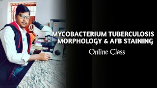 MYCOBACTERIUM TUBERCULOSIS MORPHOLOGY amp AFB STAINING ONLINE CLASS medicalscienceeducation [upl. by Analat213]