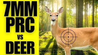 7MM PRC vs DEER [upl. by Constancy457]