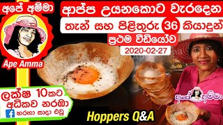 ✔ ආප්ප උයනකොට වැරදෙන තැන් සහ හරියට හදන රහස් 36 Appa  aappa Making Hoppers QampA by Apé Amma [upl. by Nayllij]