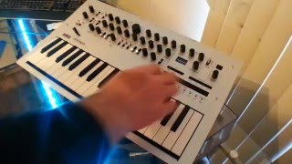 Korg Minilogue Demomotion sequencer craziness [upl. by Idolem]