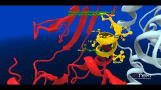 Structural Annotation of a Kinase CDK2 [upl. by Winwaloe737]