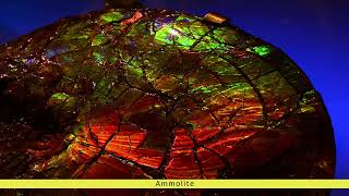 Ammolite Gemstones  Gemstones TV [upl. by Ojeillib154]