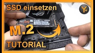 M2 SSD richtig einsetzen  Anleitung [upl. by Canon319]