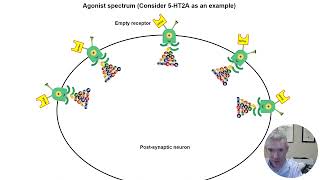 How pimavanserin Nuplazid is the opposite of psilocybin [upl. by Miksen]