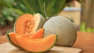 Yubari King Melon The Most Expensive Fruit in the World [upl. by Nadruoj]