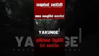 අභිරහස් වලව්ව 04 කොටස  sinhala holman katha sinhalaholmankatha horrortok viral foryou [upl. by Armelda]