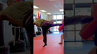 Best Kicks for Self Defense Part II😎💯💯 fighttraining training fighter martialarts kicking [upl. by Malamud]