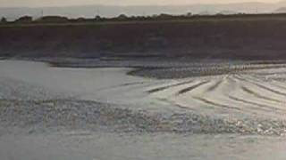 River Parrett Bore [upl. by Heilner]