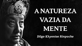 Dilgo Khyentse Rinpoche  A Natureza Vazia da Mente [upl. by Radu]