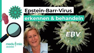 EpsteinBarrVirus EBV erkennen und behandeln 🥗 Kristine Fredriksson [upl. by Otrebor]