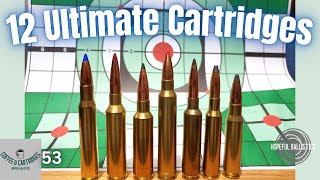 Hopeful Ballistics 12 ultimate rifle cartridges [upl. by Flanigan]