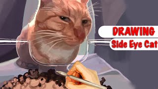 Drawing MR FRESH Cat Meme [upl. by Eiramllij3]