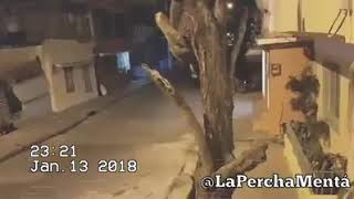 Ladrones van a robar y terminan robados [upl. by Ailimat896]