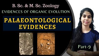 PALAEONTOLOGICAL EVIDENCES  Evolution  B Sc amp M Sc Zoology [upl. by Pfeifer]