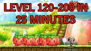 MapleStory Strawberry Farm Leveling from 120200 in 25 minutes [upl. by Aibun]