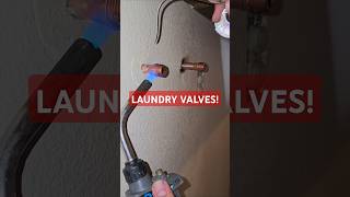 Replacing Laundry Valves plumbing plumber laundry plumbinglife fail howto shorts diy fyp [upl. by Rede]