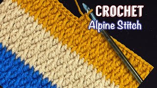 How to Crochet Alpine Stitch  Easy for Beginners  Beautiful Stitch for blanket [upl. by Okoy832]